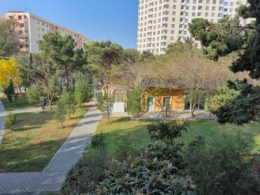 Köhnə tikili: Bakı, 3 otaqlı, Köhnə tikili, m. Əhmədli, 85 kv. m — 9