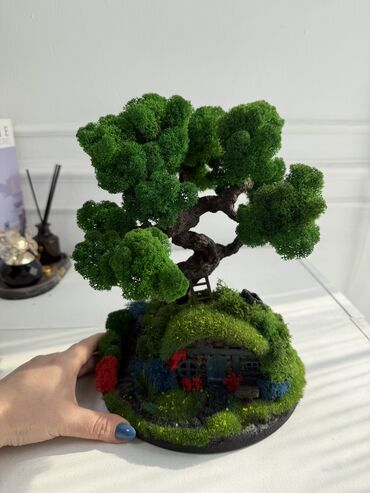 Декоративные цветы: В переводе с японского Бонсай означает «дерево, выращенное в блюде» at lalafo.kg — 45 Декоративные цветы: В переводе с японского Бонсай означает «дерево, выращенное в блюде» — 45