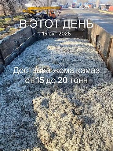 куры в токмаке: Доставка жома КАМАЗом - Объем партии: от 15 до 20 тонн за рейс - Тип — 1