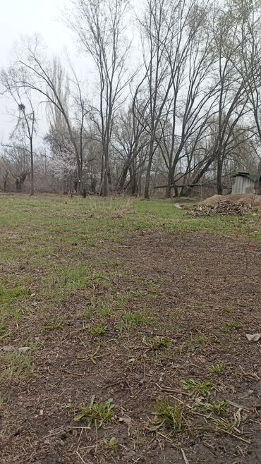 Продажа домов: Дом, 54 м², 3 комнаты, Собственник, Старый ремонт — 7