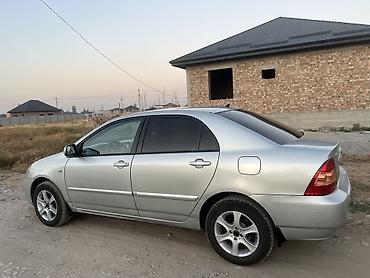 срочное: Toyota Corolla: 2005 г., 1.6 л, Автомат, Бензин, Седан — 4