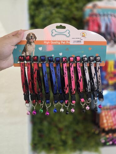 Xaltalar, qayışlar və tasmalar: Pişik və mini itlər üçün boyunbağılar. Taksilə çatdırılma xidmətimiz — 10