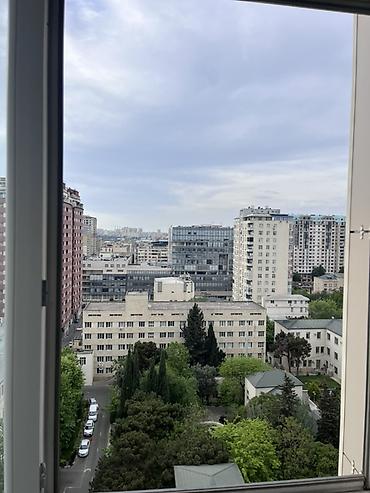 Günlük kirayə mənzillər: 2 otaqlı, Nəsimi r. r-nu — 14