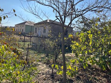 Torpaq sahələrinin satışı: 9 sot, Mülkiyyətçi, Kupça (Çıxarış) — 6