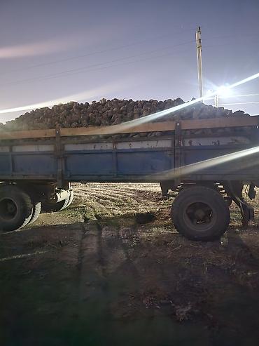 камаз савак: КАМАЗ бортовой с прицепом - Тип: грузовой самосвал, колесная формула — 5