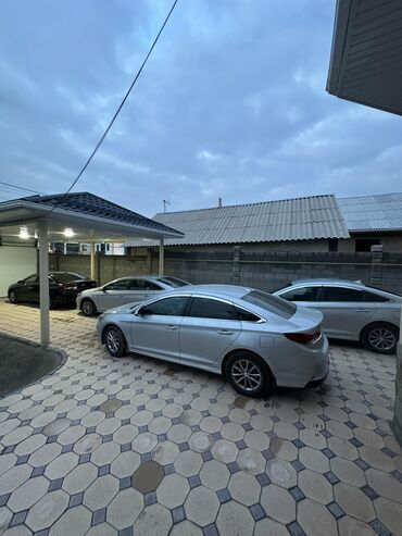 хундай 2: Hyundai Sonata: 2019 г., 2 л, Автомат, Газ, Седан
