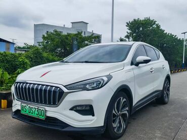 byd flyer: BYD : 2019 г., 0.1 - engine capacity л, Автомат, Электромобиль, Кроссовер