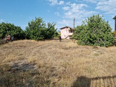 Torpaq sahələrinin satışı: 34 sot, Mülkiyyətçi, Kupça (Çıxarış), Bələdiyyə — 4