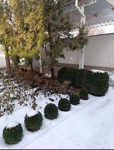 Продажа коттеджей и домов: 🚀продается дом 2этажный дом 🚀Уникальный Дом в Центре Бишкека — — 16