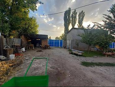 пр чуй: 2 комнаты, 55 м², Хрущевка, 1 этаж, Свежий ремонт — 6