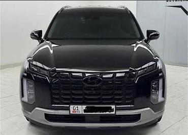 родиаторы: Hyundai Palisade: 2024 г., 3.8 л, Робот, Бензин, Кроссовер — 1