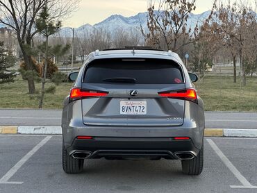 Lexus: Lexus NX: 2019 г., 2 л, Автомат, Бензин, Кроссовер — 5