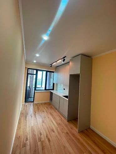 недвижимость в оше: 1 комната, 45 м², Ошский рынок / базар Элитка, 10 этаж, Евроремонт — 3