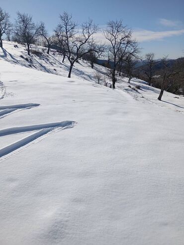 Günlük kirayə evlər: 200 kv. m, 2 otaqlı — 13