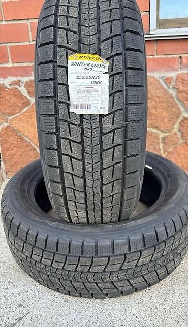 Шины 255 / 50 / R 20, Зима, Новый, Комплект, Внедорожные (АТ/МТ), Япония, Dunlop