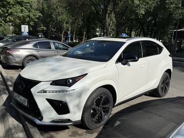 Lexus: Lexus NX: 2019 г., 2 л, Автомат, Бензин, Кроссовер
