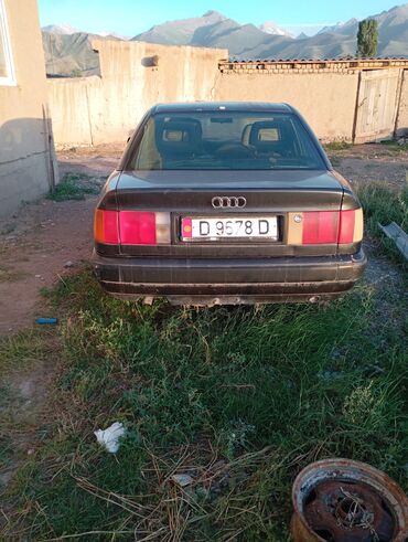 Audi: Audi 100: 1991 г., Седан