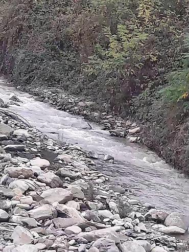 bine qesebesinde evler: 31 sot, Tikinti, Mülkiyyətçi, Kupça (Çıxarış) — 9