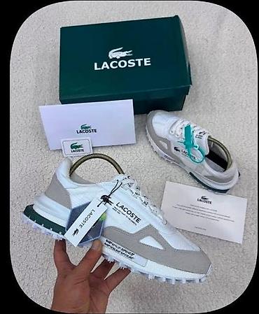 lacoste srbija online: Turske lacoste od 36 do 44 za samo 5200 din — 2