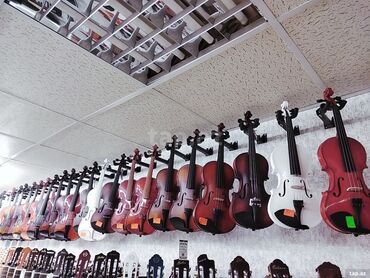 Skripkalar: Skripka Skripka ve Skripkalara Böyük endirim kampaniyası davam edir -da lalafo.az — 8 Skripkalar: Skripka Skripka ve Skripkalara Böyük endirim kampaniyası davam edir — 8