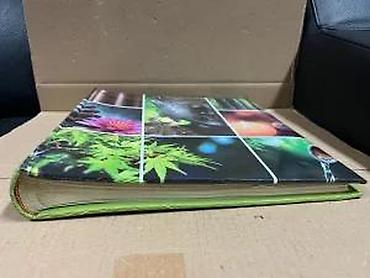 Slike i ramovi: Zidna slika – kolaž „Zen/Buddha“ - Motiv: devet panela sa zen — 10