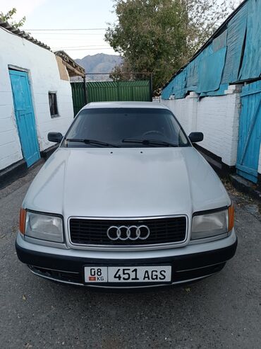 Audi: Audi 100: 1992 г., 2 л, Механика, Газ, Седан