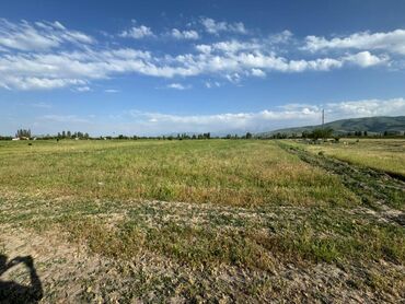 аренда места для продажи мороженого: 100 соток, Для бизнеса, Генеральная доверенность