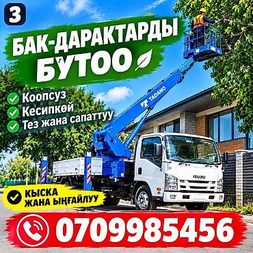 Стрела 18 м, 250 т at lalafo.kg Стрела 18 м, 250 т