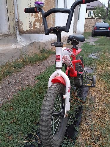 Балдар транспорту: Балдар үчүн велосипед, 2 дөңгөлөктүү, 4 - 6 жаш, Бала үчүн, Колдонулган — 4