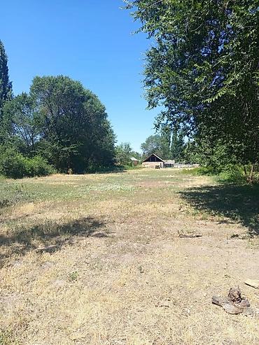 Продажа коттеджей и домов: Продается загородный дом с прилегающей территорией, предлагающий — 3