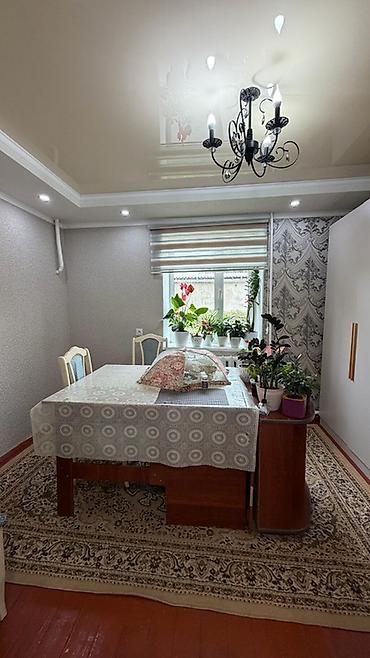 Үйлөр: 4 бөлмө, 60 м², 18 соток, Шопоков, Кыймылсыз мүлк агенттиги — 8