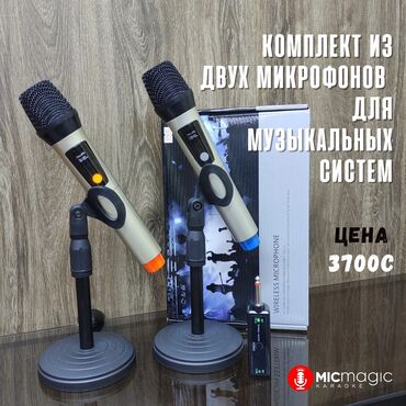 микрофон караоке цена: КОМПЛЕКТ ИЗ ДВУХ БЕСПРОВОДНЫХ МИКРОФОНОВ ДЛЯ МУЗЫКАЛЬНЫХ ЦЕНТРОВ И