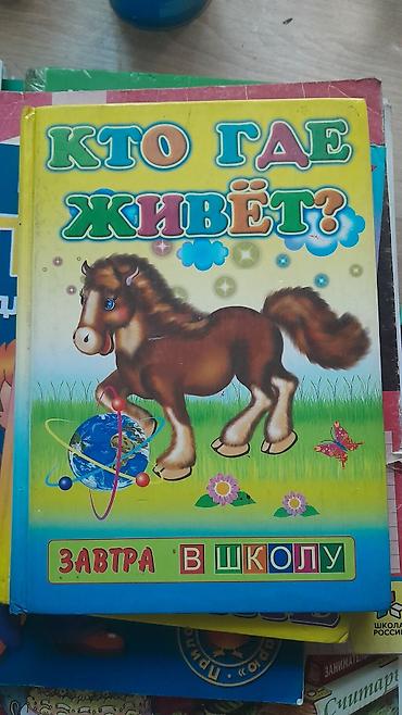 Китептер жана журналдар: Б/у в хорошем состоянии. книги, тренажёры. с 1 по 4 класс 
все по 50 — 3