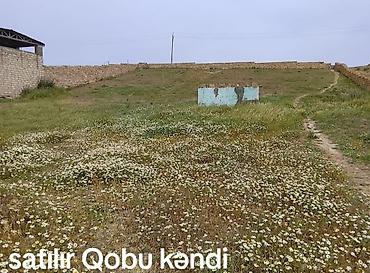 samaxi cuxuryurd torpaq: 10 sot, Tikinti, Mülkiyyətçi, Kupça (Çıxarış) — 1