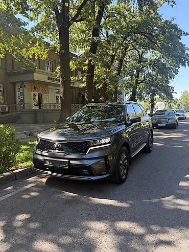 Kia: Kia Sorento: 2021 г., 1.6 л, Автомат, Гибрид, Кроссовер — 2