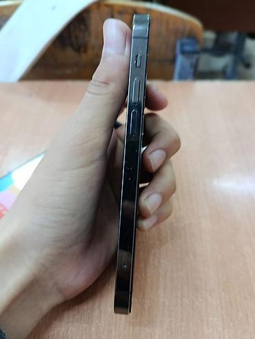 Apple iPhone: IPhone 12 Pro Max, Графит, Чехол — 5