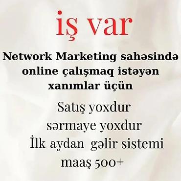 evde online is: Marketoloq tələb olunur, 30-45 yaş, Təcrübəsiz — 1