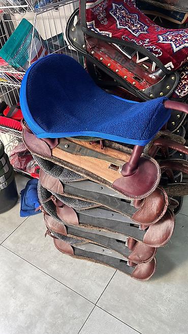 Другие животные: Ат жабдыктар — 2