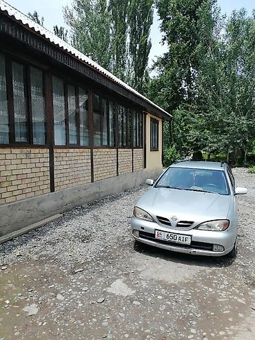 руль приус 20: Nissan Primera: 2020 г., 0.2 л, Механика, Дизель, Универсал — 4