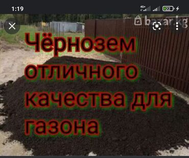 Удобства для дома и сада: Черн зем горный 
черно зем горный