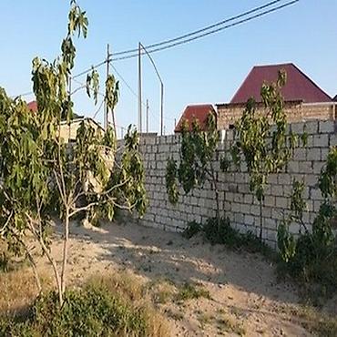 Torpaq: 18 sot, Tikinti, Maklerlər narahat etməsin, Kupça (Çıxarış) — 2