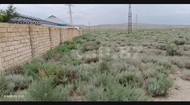 əcəmi naxçıvani küçəsi: 3 sot, Tikinti, Mülkiyyətçi, Bələdiyyə