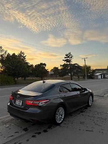 Toyota: Toyota Camry: 2019 г., 2.5 л, Автомат, Бензин, Седан — 6