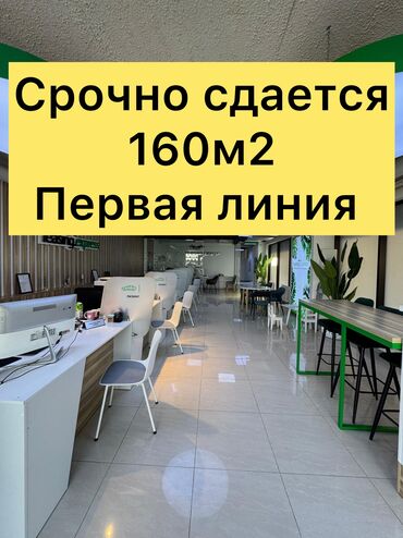 цокольное помещение аренда: Сдаю Офис, 160 м², В жилом комплексе, 1 линия
