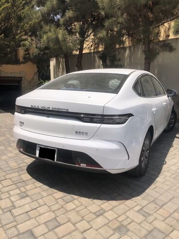 BYD: BYD : 1.5 l | 2024 il Sedan — 8