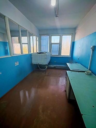 Продажа другой коммерческой недвижимости: Коммерческая недвижимость для вашего бизнеса в Военно-Антоновке! — 7