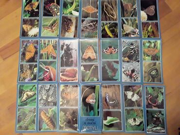 Açıqcalar: Советские открытки.Есть еще закладки для — 25