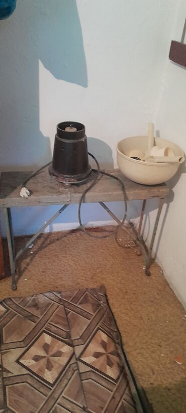 Коровы, быки: Продаю | Корова (самка), Музоо, торпок | Бельгийская | Для молока | Искусственник — 3