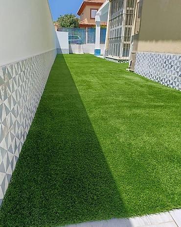 greenpro: 1️⃣ Всегда зелёный, всегда красивый! 🌿 Продажа и укладка — 3