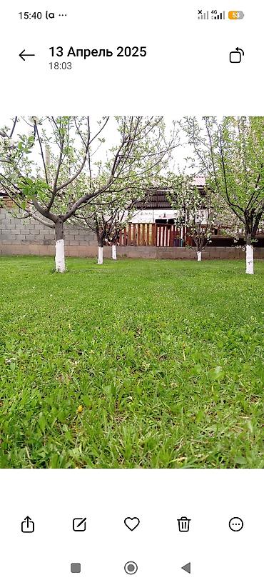 псо кок жар: 4 комнаты, 120 м², 12 соток, Бишкек, Собственник — 6